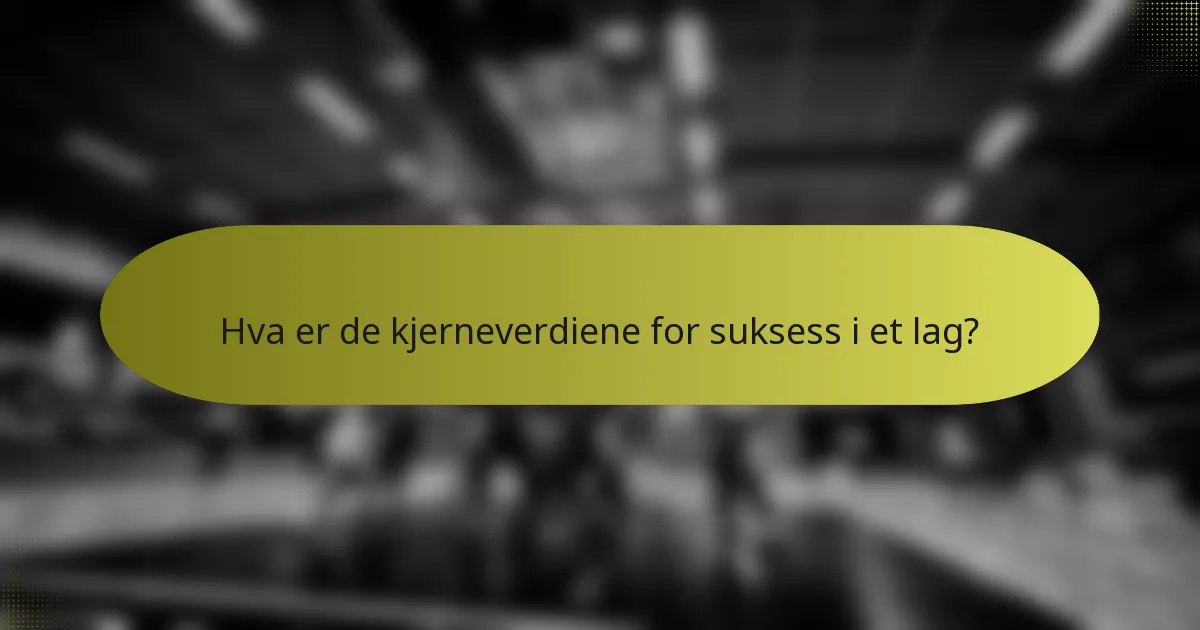Hva er de kjerneverdiene for suksess i et lag?